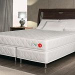 Nipponflex encerra produção de linhas de ARS
