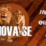 CONFIRA COM EXCLUSIVIDADE O VÍDEO COM OS MELHORES MOMENTOS DA 22ª CONVENÇÃO NIPPONFLEX