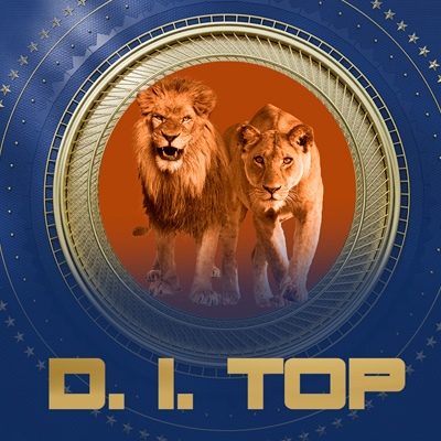 D.I. TOP